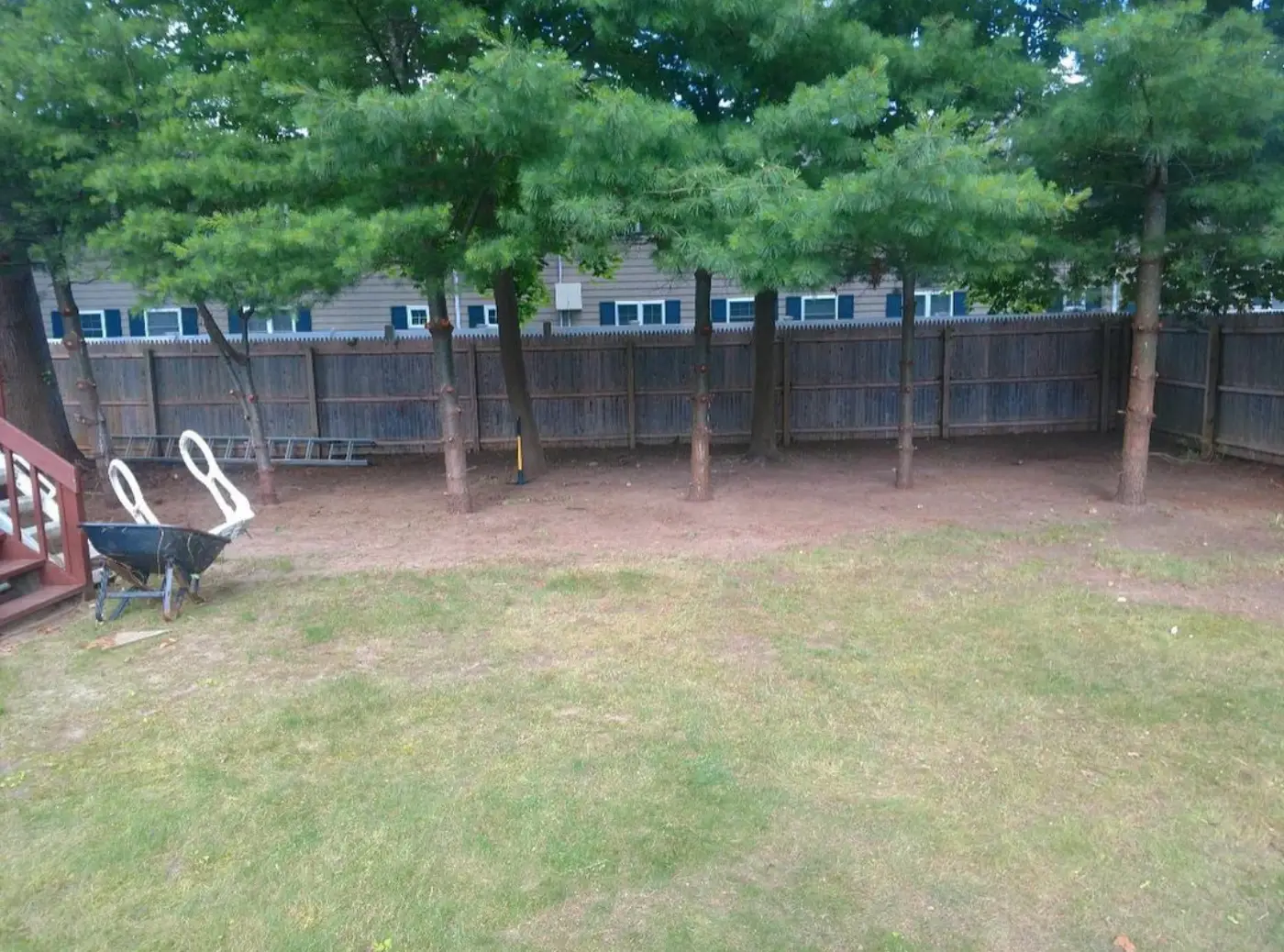 Bare shaded backyard under pines before planting
