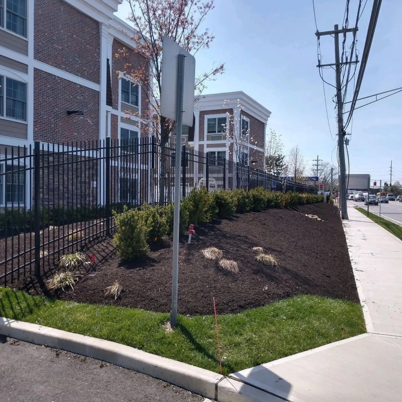 Commercial frontage with fresh mulch beds and new shrubs along an iron fence