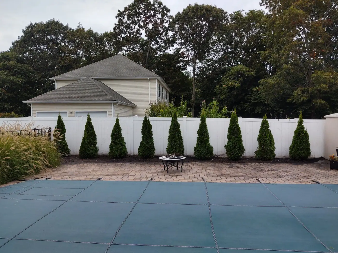 Arborvitae planted evenly along a white fence behind a paver pool deck