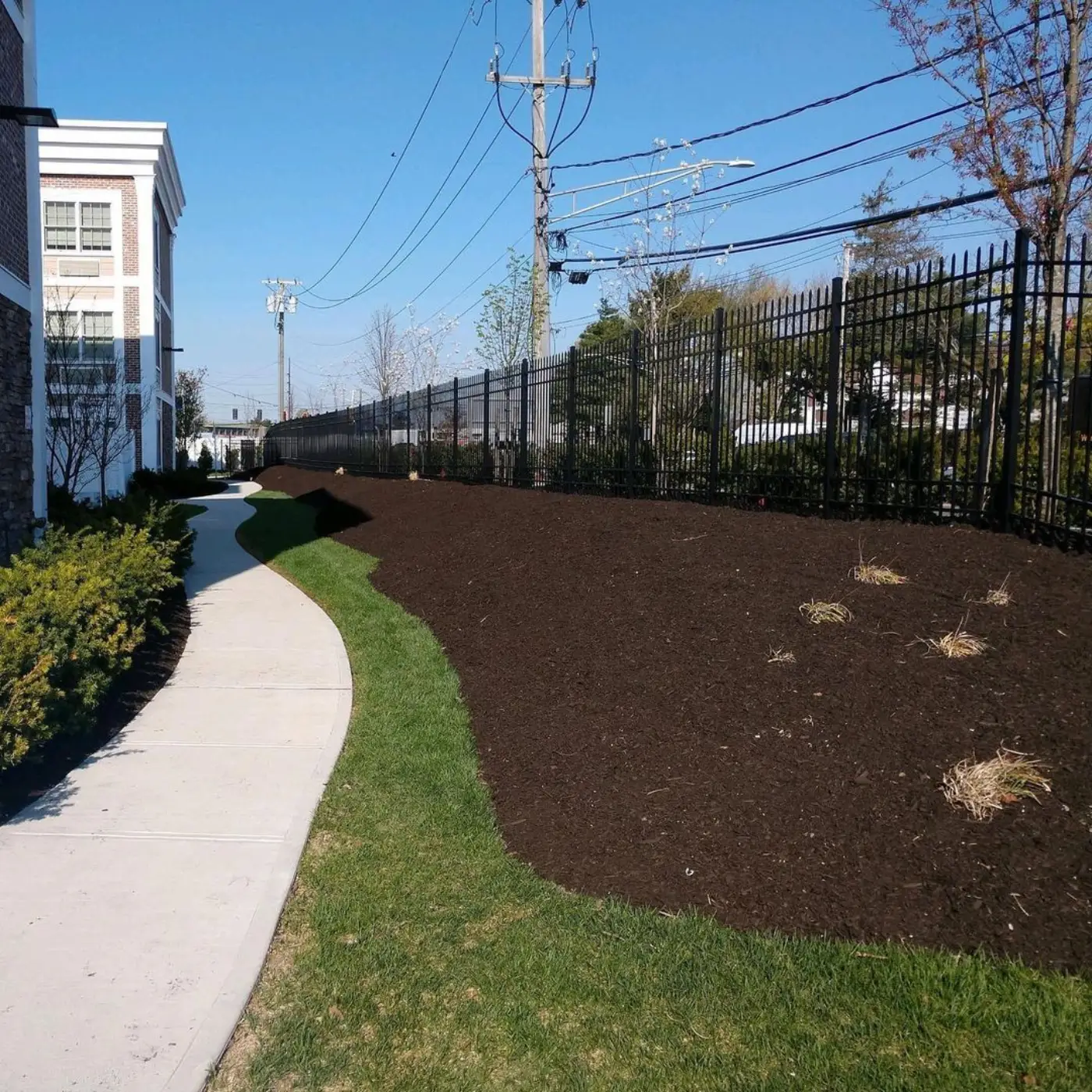 The same slope after cleanup, edged and topped with fresh dark mulch