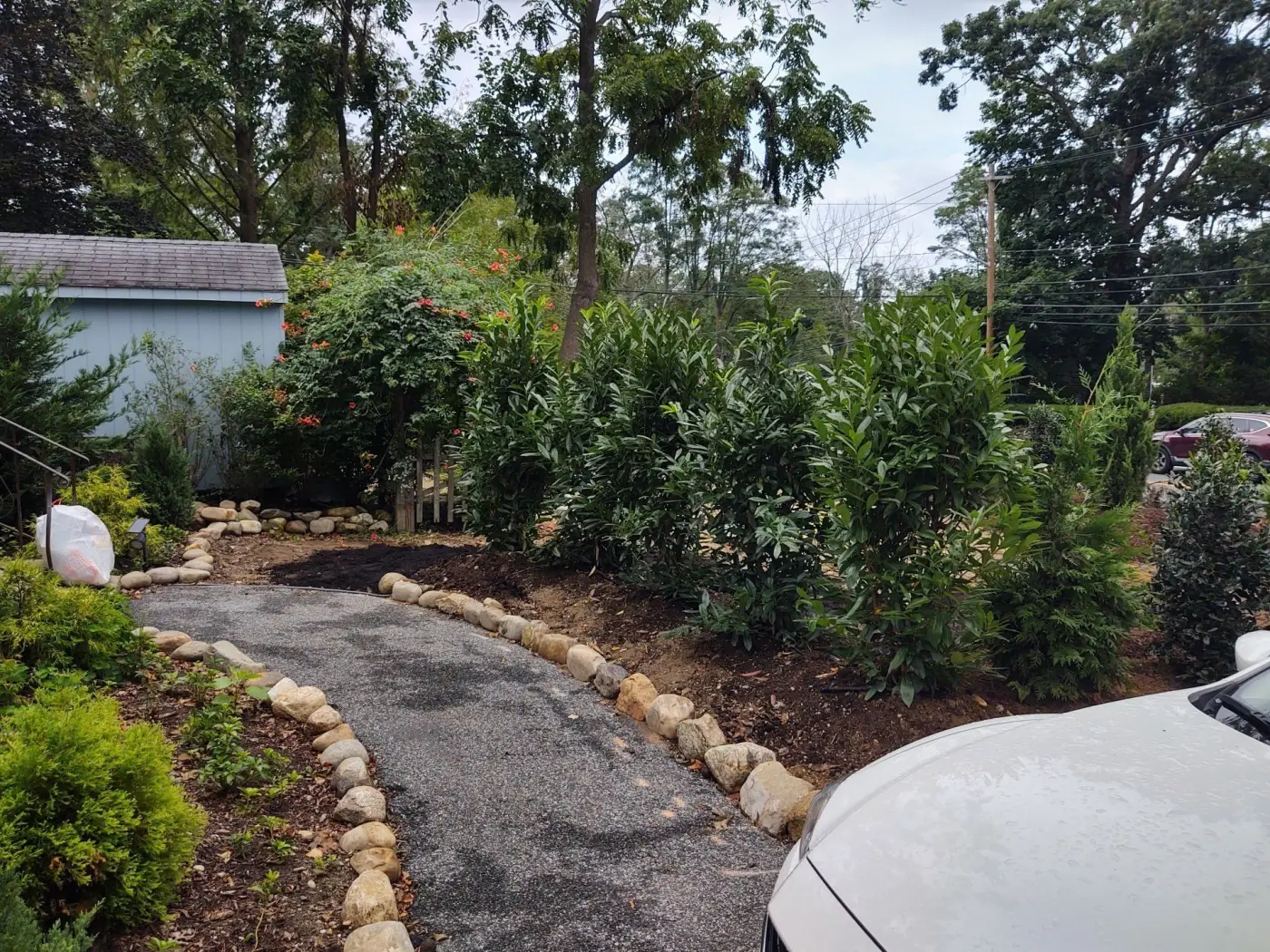 Gravel walkway edged in fieldstone, with a laurel screen planted behind it